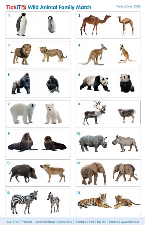 TickiT Wild Animal Family Match Set