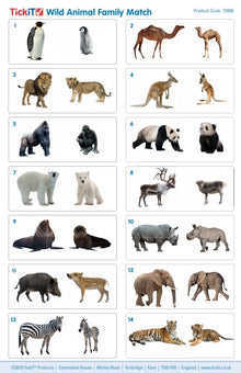 TickiT Wild Animal Family Match Set