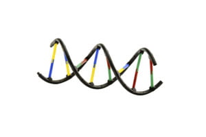 Thames & Kosmos Genetics & DNA Lab