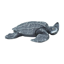 Safari Leatherback Sea Turtle