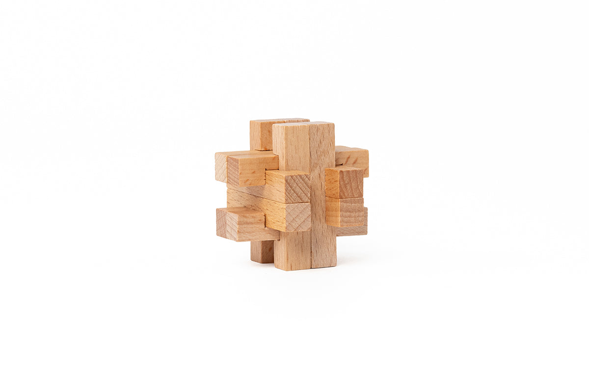 Recent Toys Are You Puzzles CDU