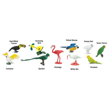Safari Toob Exotic Birds (10 Pieces)