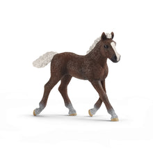 Schleich Black Forest Foal