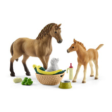 Schleich 42432 Horse Club Sarah's Baby Animal Care