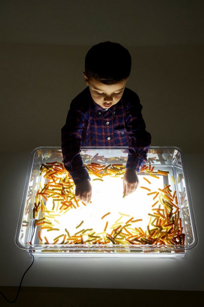 TickiT A3 Exploration Light Tray