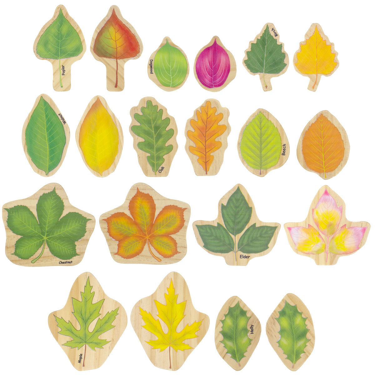 The Freckled Frog Stacking Leaves