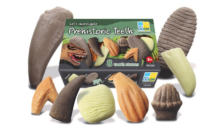 Yellow Door Prehistoric Teeth Pack